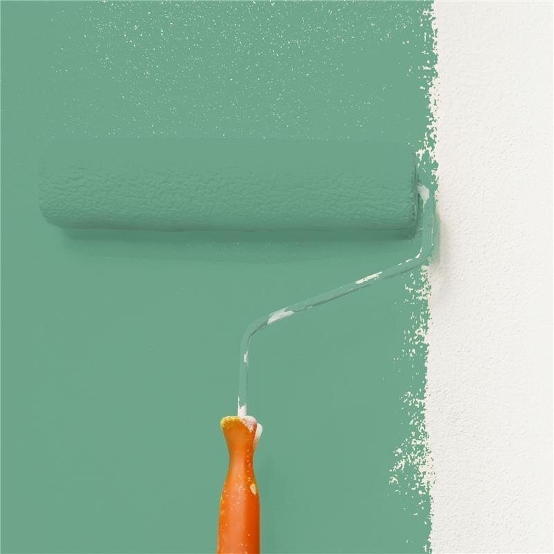 Wandfarbe Matt NCS-S-3030-G Profi Qualität für Innen