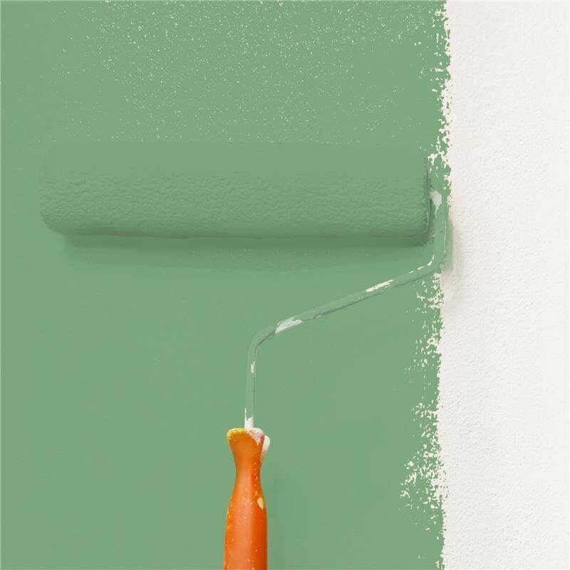 Wandfarbe Matt NCS-S-3030-G20Y Profi Qualität für Innen
