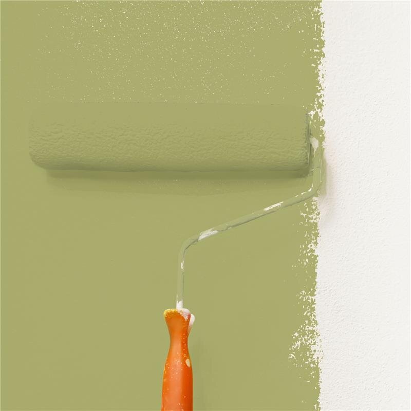 Wandfarbe Matt NCS-S-3030-G70Y Profi Qualität für Innen