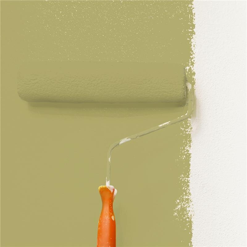 Wandfarbe Matt NCS-S-3030-G80Y Profi Qualität für Innen