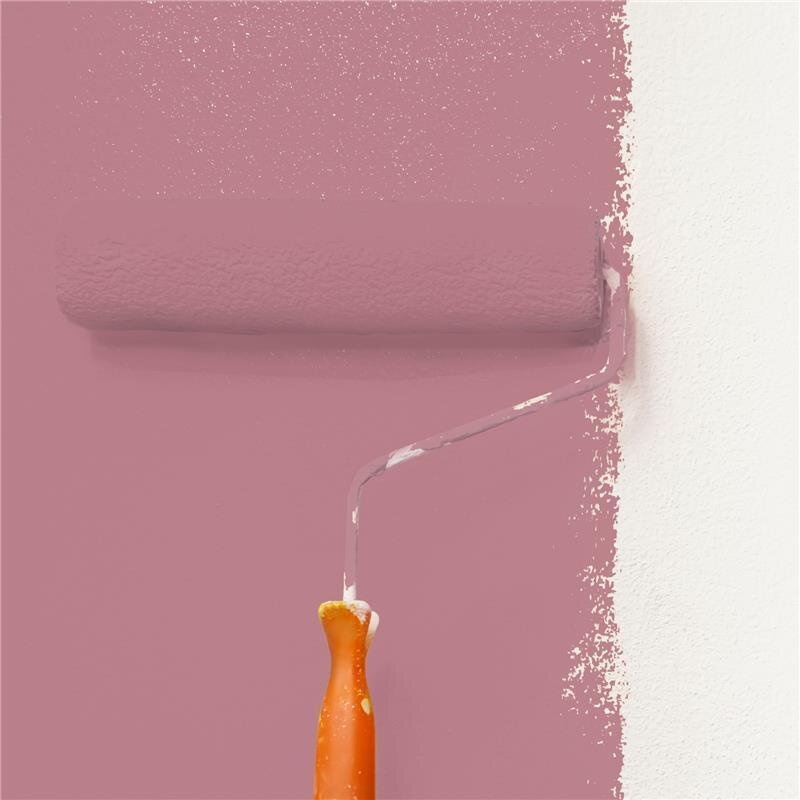 Wandfarbe Matt NCS-S-3030-R10B Profi Qualität für Innen