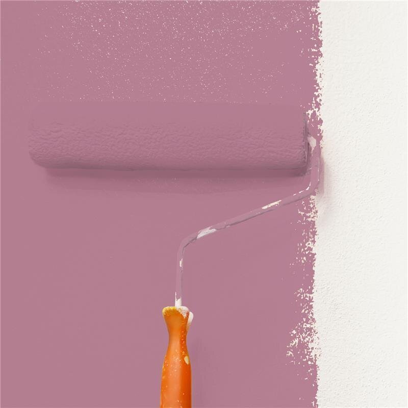 Wandfarbe Matt NCS-S-3030-R20B Profi Qualität für Innen