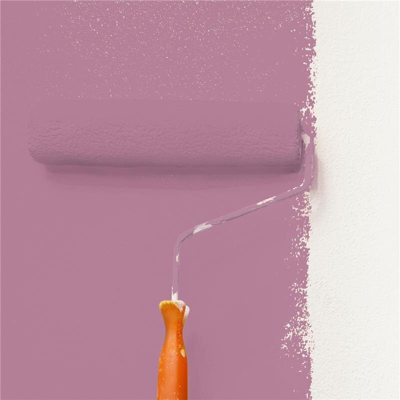 Wandfarbe Matt NCS-S-3030-R30B Profi Qualität für Innen