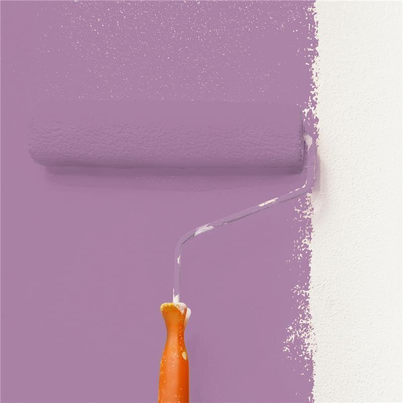 Wandfarbe Matt NCS-S-3030-R40B Profi Qualität für Innen