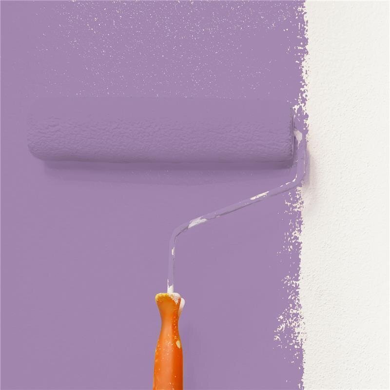 Wandfarbe Matt NCS-S-3030-R50B Profi Qualität für Innen