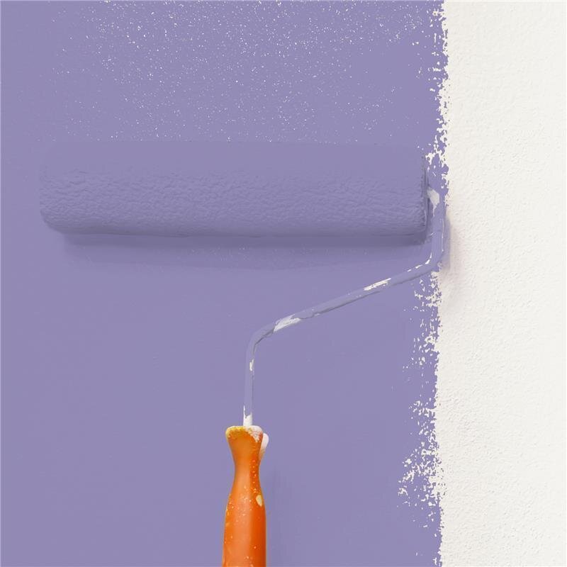 Wandfarbe Matt NCS-S-3030-R60B Profi Qualität für Innen