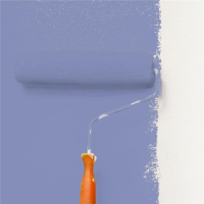 Wandfarbe Matt NCS-S-3030-R70B Profi Qualität für Innen