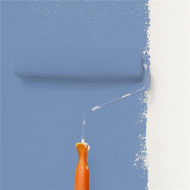 Wandfarbe Matt NCS-S-3030-R80B Profi Qualität für Innen