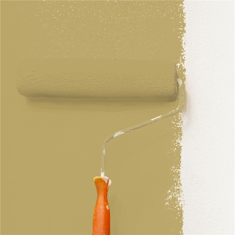 Wandfarbe Matt NCS-S-3030-Y Profi Qualität für Innen