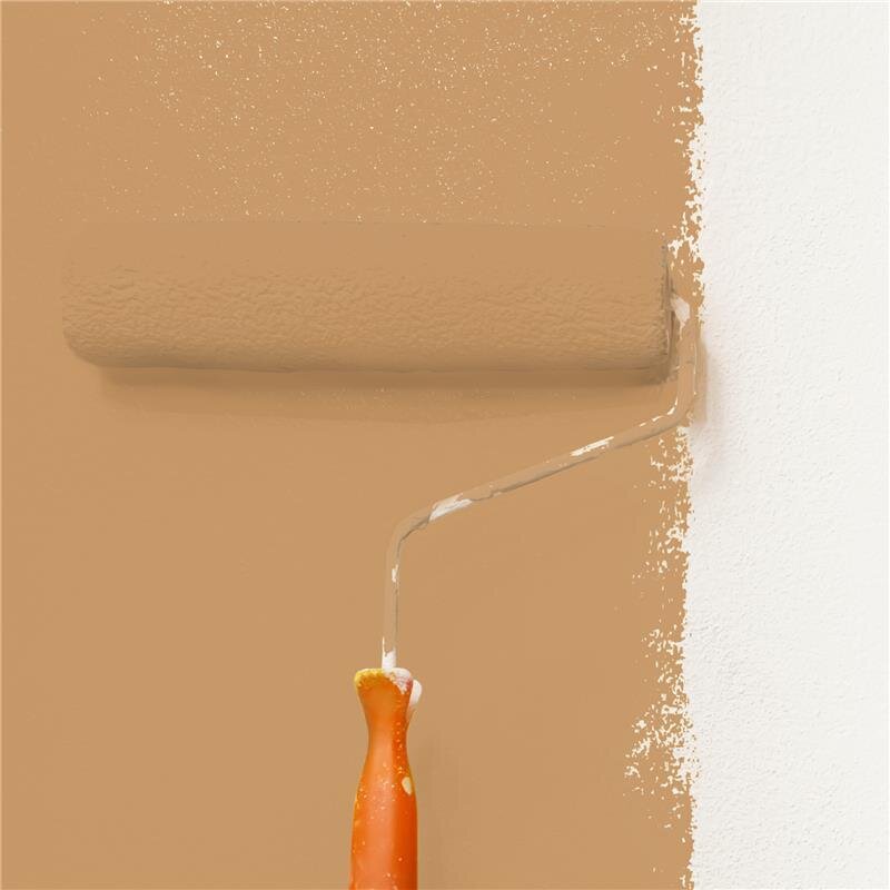 Wandfarbe Matt NCS-S-3030-Y30R Profi Qualität für Innen