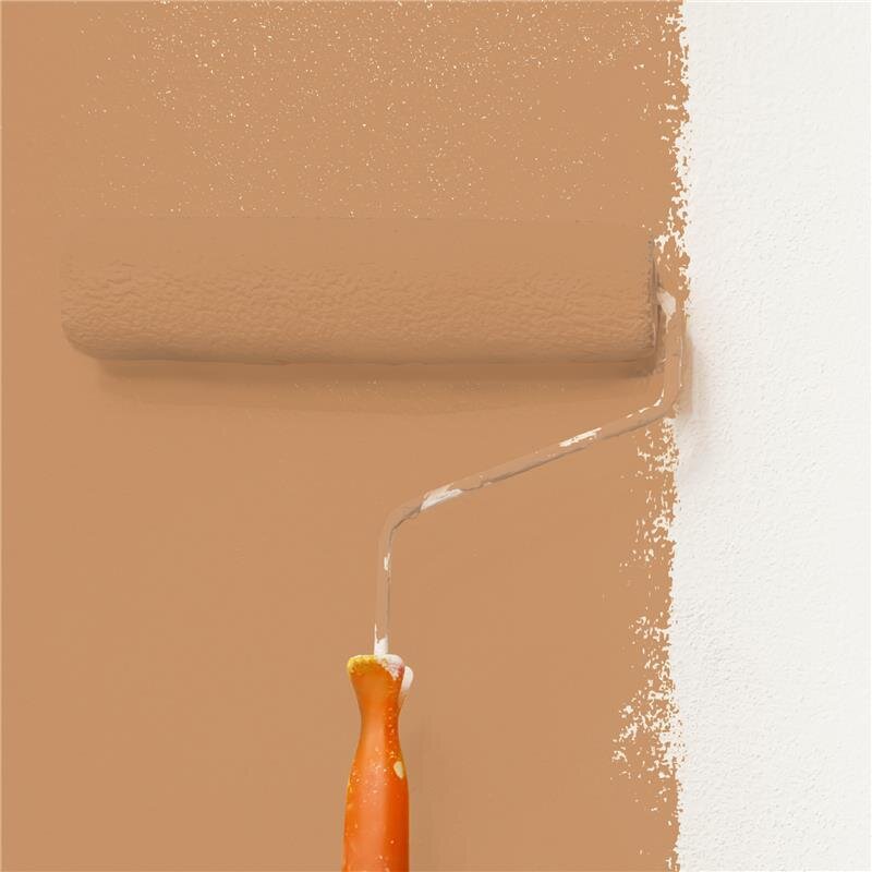 Wandfarbe Matt NCS-S-3030-Y40R Profi Qualität für Innen