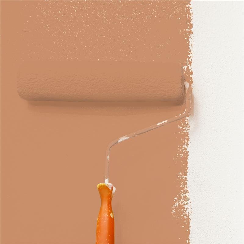 Wandfarbe Matt NCS-S-3030-Y50R Profi Qualität für Innen