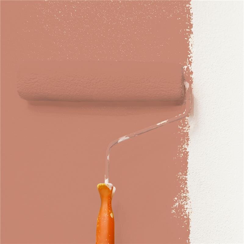 Wandfarbe Matt NCS-S-3030-Y70R Profi Qualität für Innen