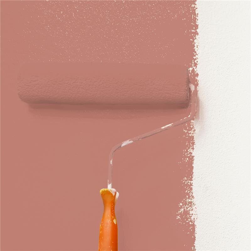 Wandfarbe Matt NCS-S-3030-Y80R Profi Qualität für Innen