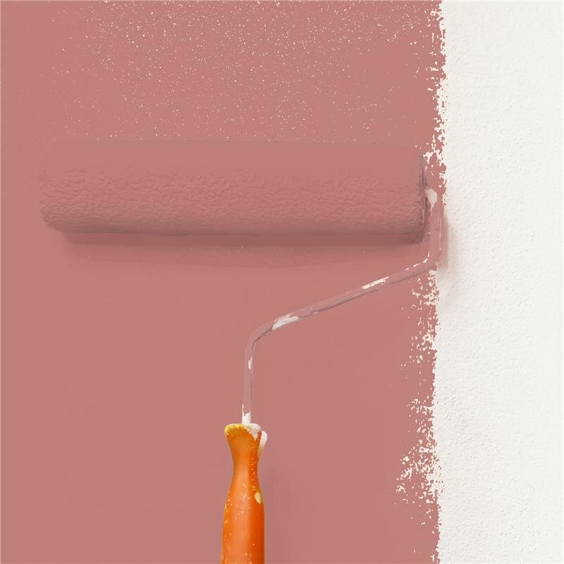 Wandfarbe Matt NCS-S-3030-Y90R Profi Qualität für Innen