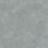 Tapete Grau, Silber Dieter Langer Vliestapete (58836)