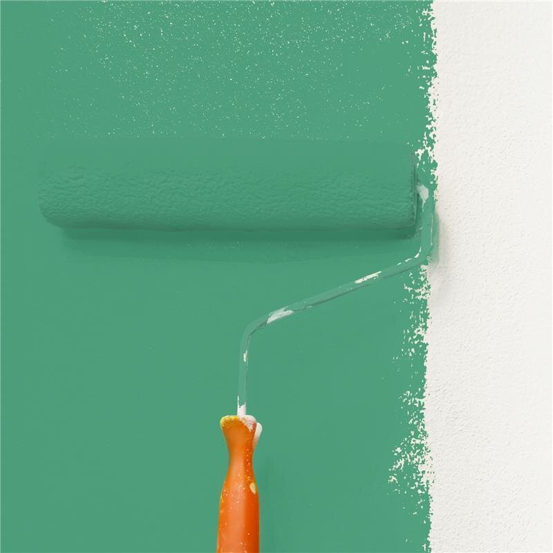 Wandfarbe Matt NCS-S-3040-G Profi Qualität für Innen