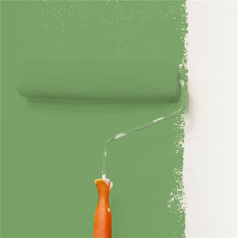 Wandfarbe Matt NCS-S-3040-G30Y Profi Qualität für Innen