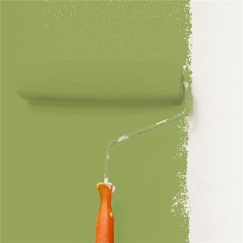 Wandfarbe Matt NCS-S-3040-G50Y Profi Qualität für Innen