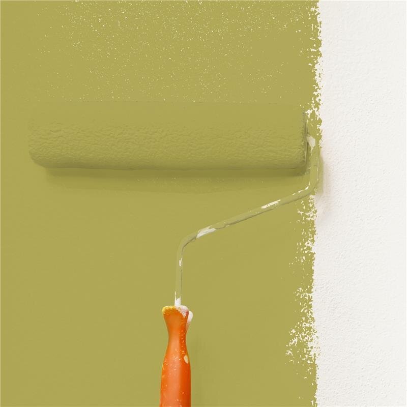 Wandfarbe Matt NCS-S-3040-G80Y Profi Qualität für Innen