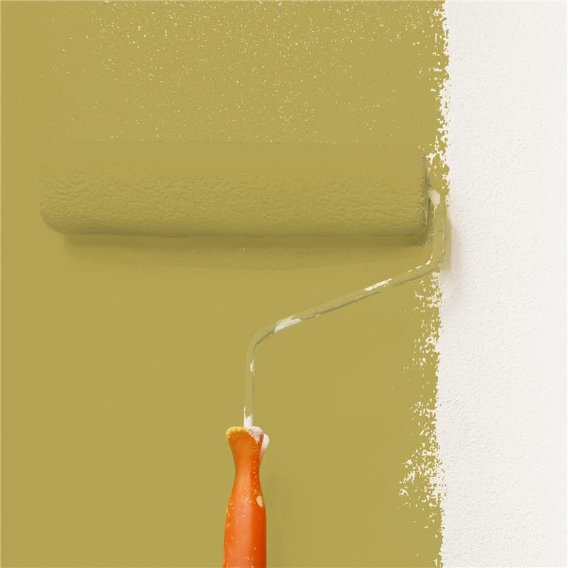 Wandfarbe Matt NCS-S-3040-G90Y Profi Qualität für Innen