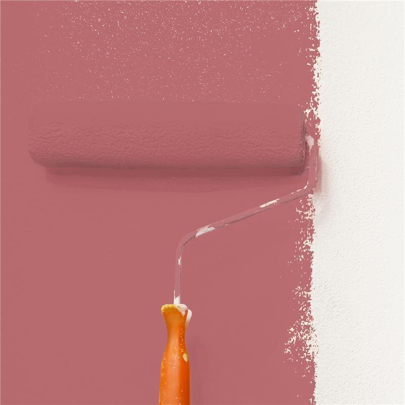 Wandfarbe Matt NCS-S-3040-R Profi Qualität für Innen