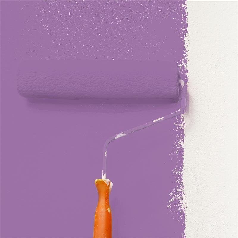 Wandfarbe Matt NCS-S-3040-R50B Profi Qualität für Innen