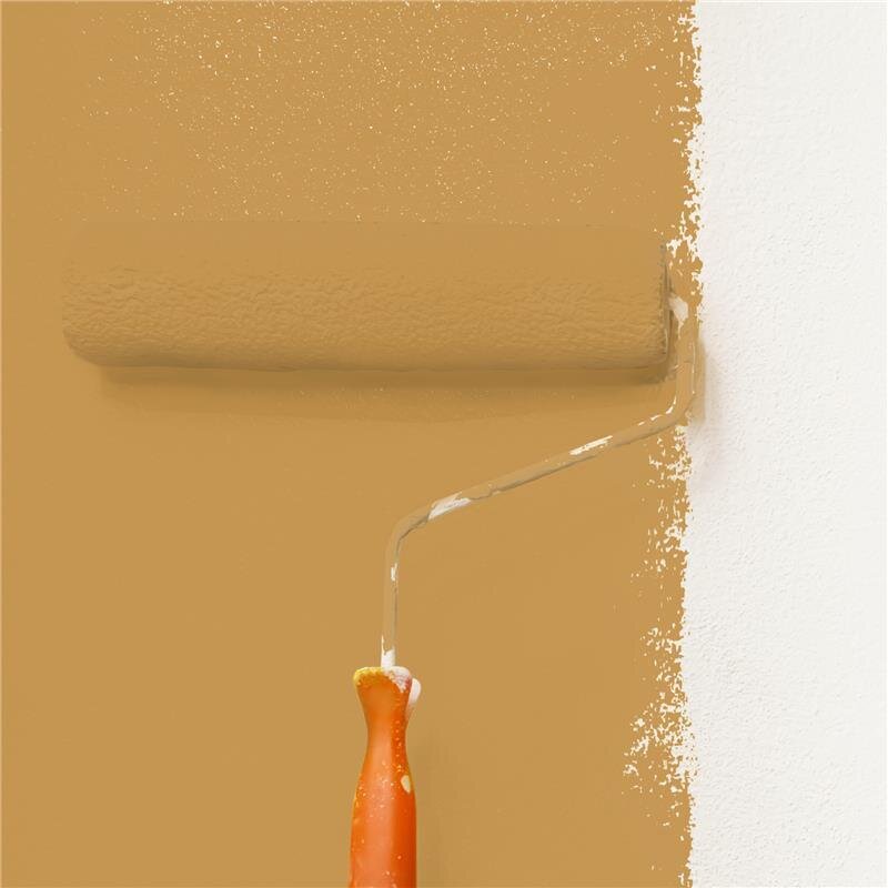 Wandfarbe Matt NCS-S-3040-Y20R Profi Qualität für Innen