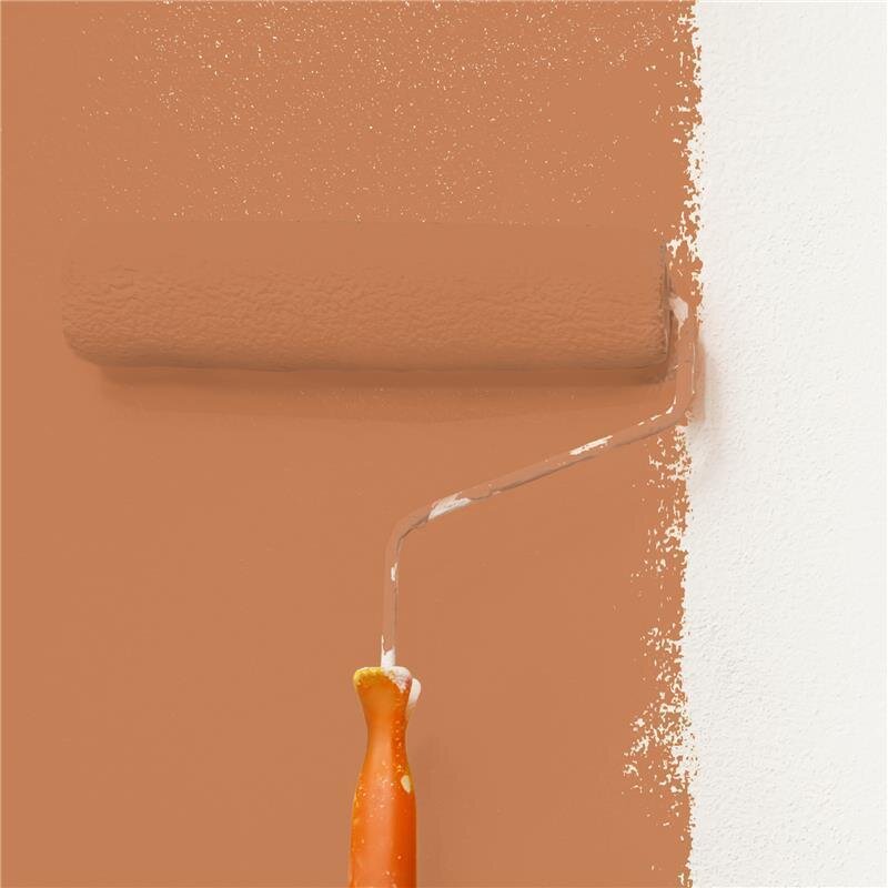 Wandfarbe Matt NCS-S-3040-Y50R Profi Qualität für Innen
