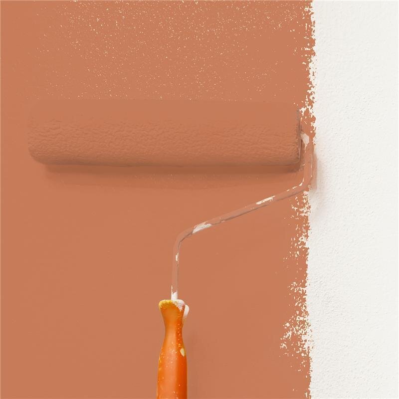 Wandfarbe Matt NCS-S-3040-Y60R Profi Qualität für Innen