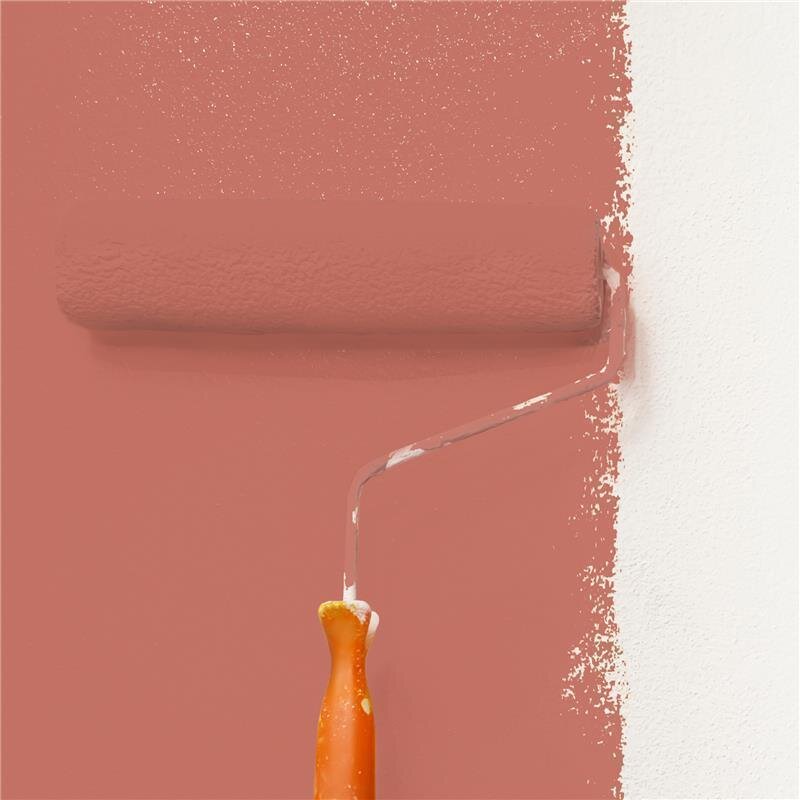 Wandfarbe Matt NCS-S-3040-Y80R Profi Qualität für Innen