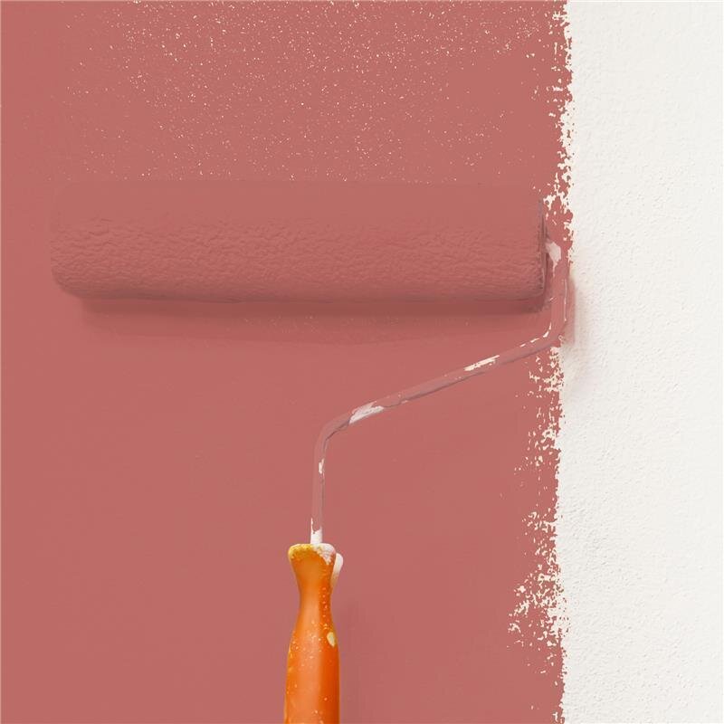 Wandfarbe Matt NCS-S-3040-Y90R Profi Qualität für Innen