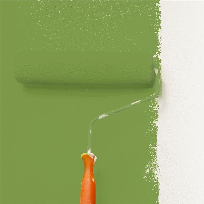 Wandfarbe Matt NCS-S-3050-G40Y Profi Qualität für Innen