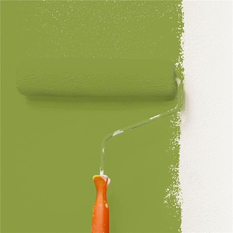 Wandfarbe Matt NCS-S-3050-G50Y Profi Qualität für Innen