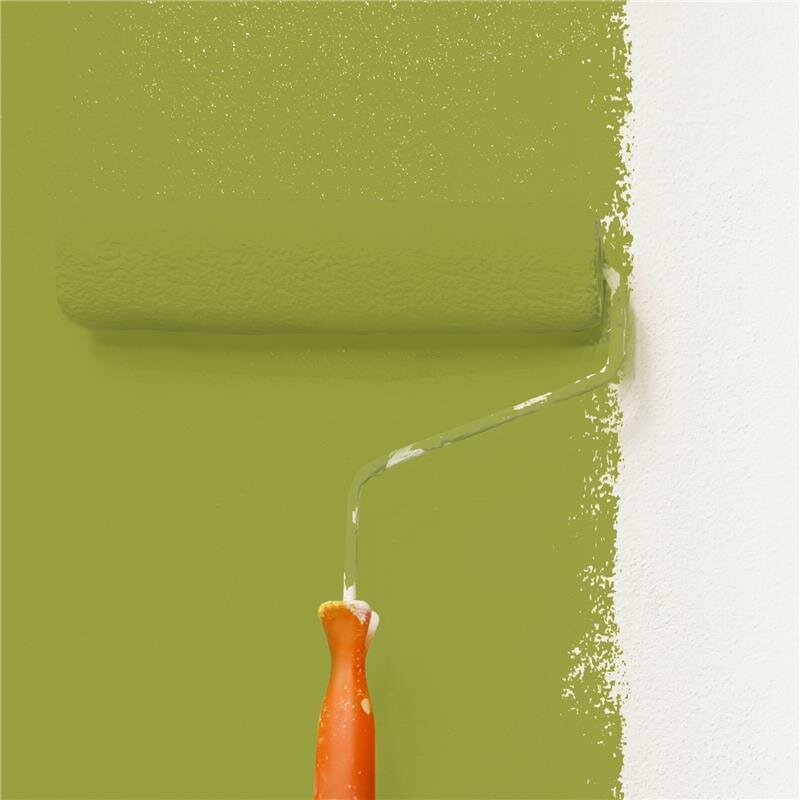 Wandfarbe Matt NCS-S-3050-G60Y Profi Qualität für Innen