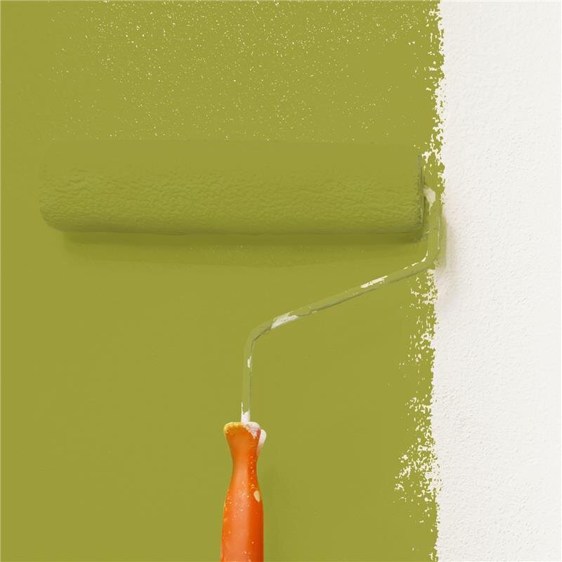 Wandfarbe Matt NCS-S-3050-G70Y Profi Qualität für Innen