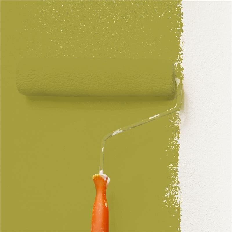 Wandfarbe Matt NCS-S-3050-G80Y Profi Qualität für Innen