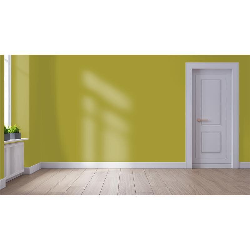 Wandfarbe Matt NCS-S-3050-G80Y Profi Qualität für Innen