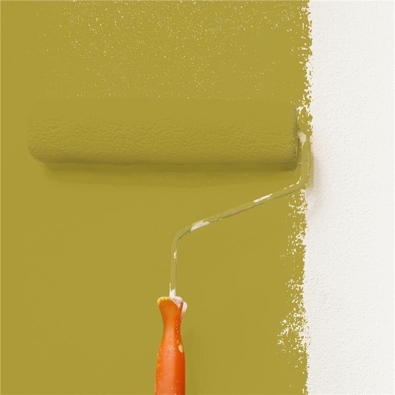 Wandfarbe Matt NCS-S-3050-G90Y Profi Qualität für Innen