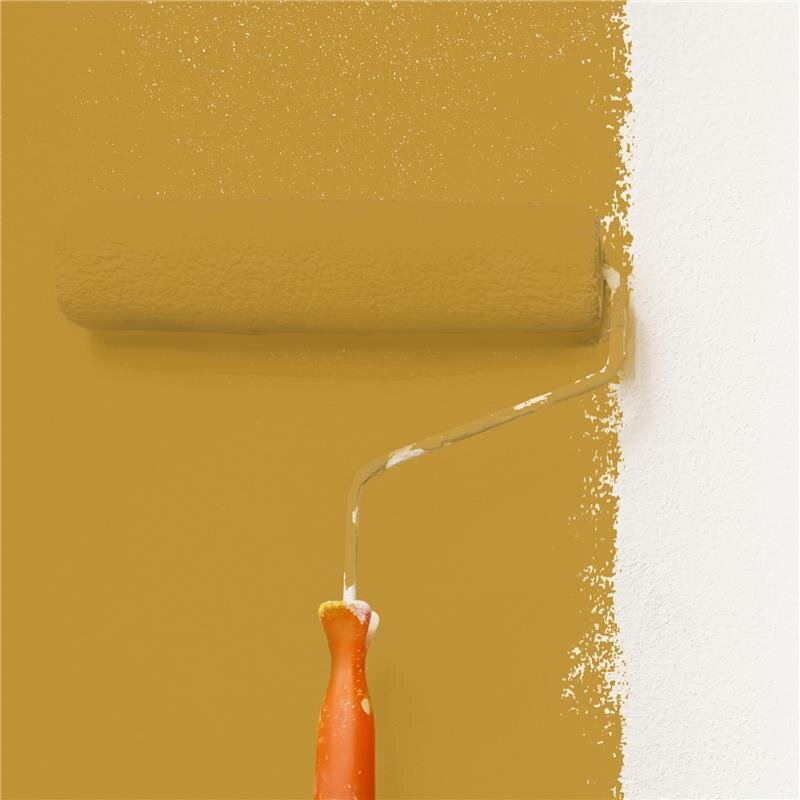 Wandfarbe Matt NCS-S-3050-Y10R Profi Qualität für Innen