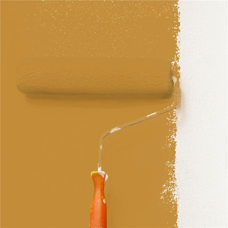 Wandfarbe Matt NCS-S-3050-Y20R Profi Qualität für Innen