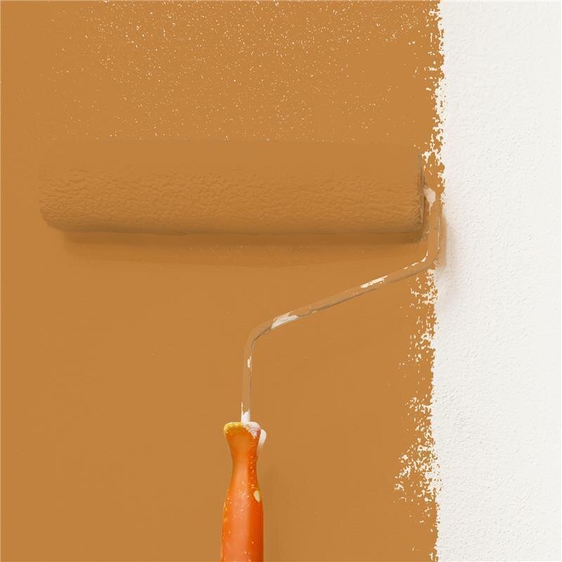 Wandfarbe Matt NCS-S-3050-Y30R Profi Qualität für Innen