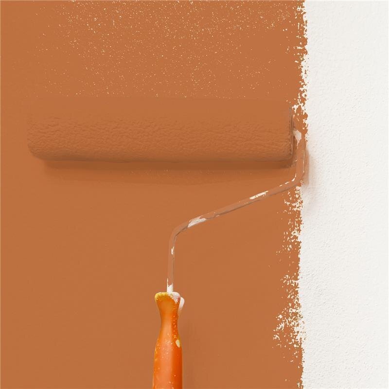 Wandfarbe Matt NCS-S-3050-Y50R Profi Qualität für Innen