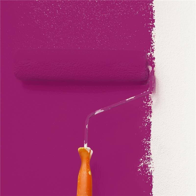 Wandfarbe Matt NCS-S-3055-R30B Profi Qualität für Innen