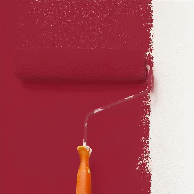 Wandfarbe Matt NCS-S-3060-R Profi Qualität für Innen