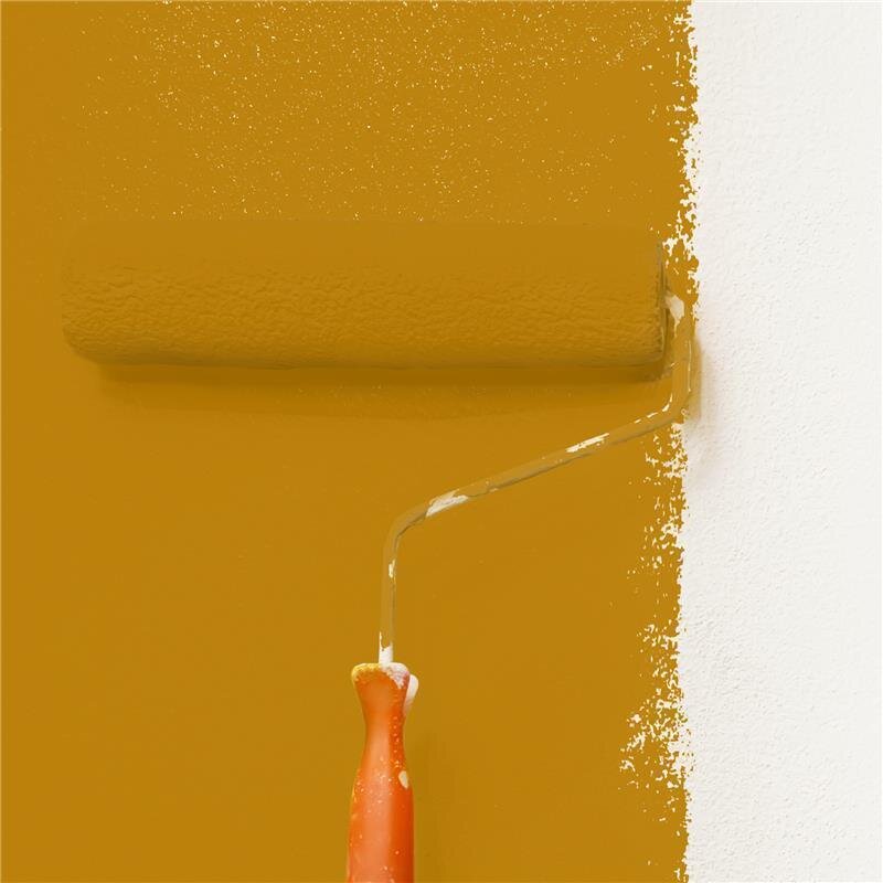 Wandfarbe Matt NCS-S-3060-Y20R Profi Qualität für Innen