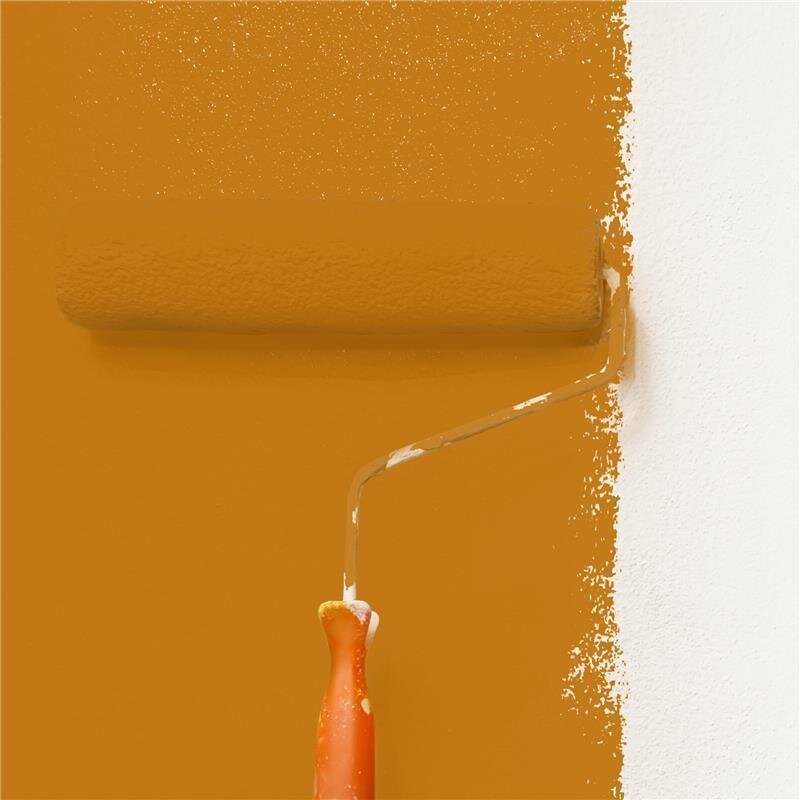 Wandfarbe Matt NCS-S-3060-Y30R Profi Qualität für Innen