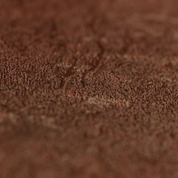 Tapete Braun Dieter Langer Vliestapete (58835)