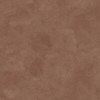 Tapete Braun Dieter Langer Vliestapete (58835)