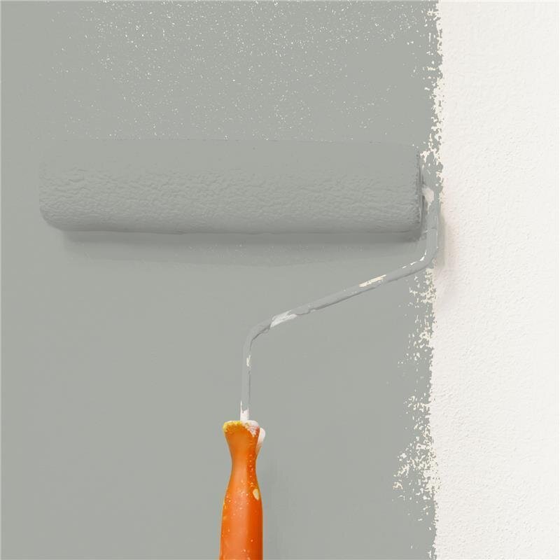 Wandfarbe Matt NCS-S-3502-G50Y Profi Qualität für Innen